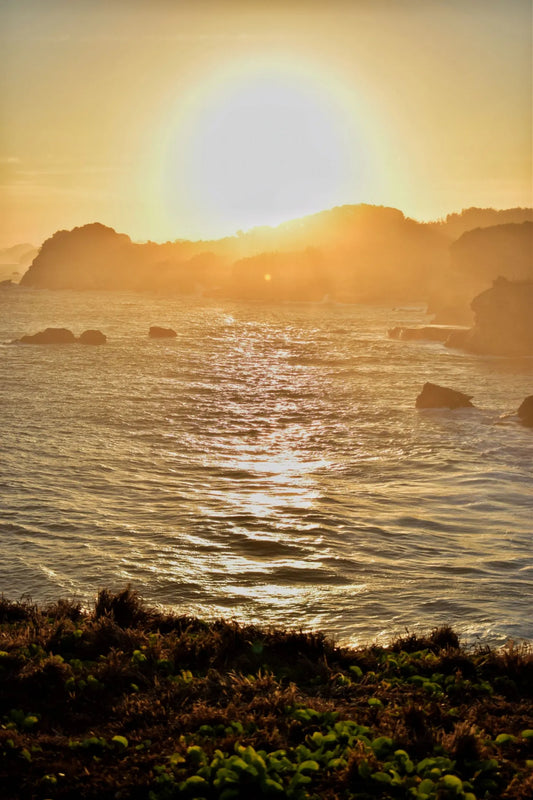 Benefits of Vitamin D/Getting Sunlight